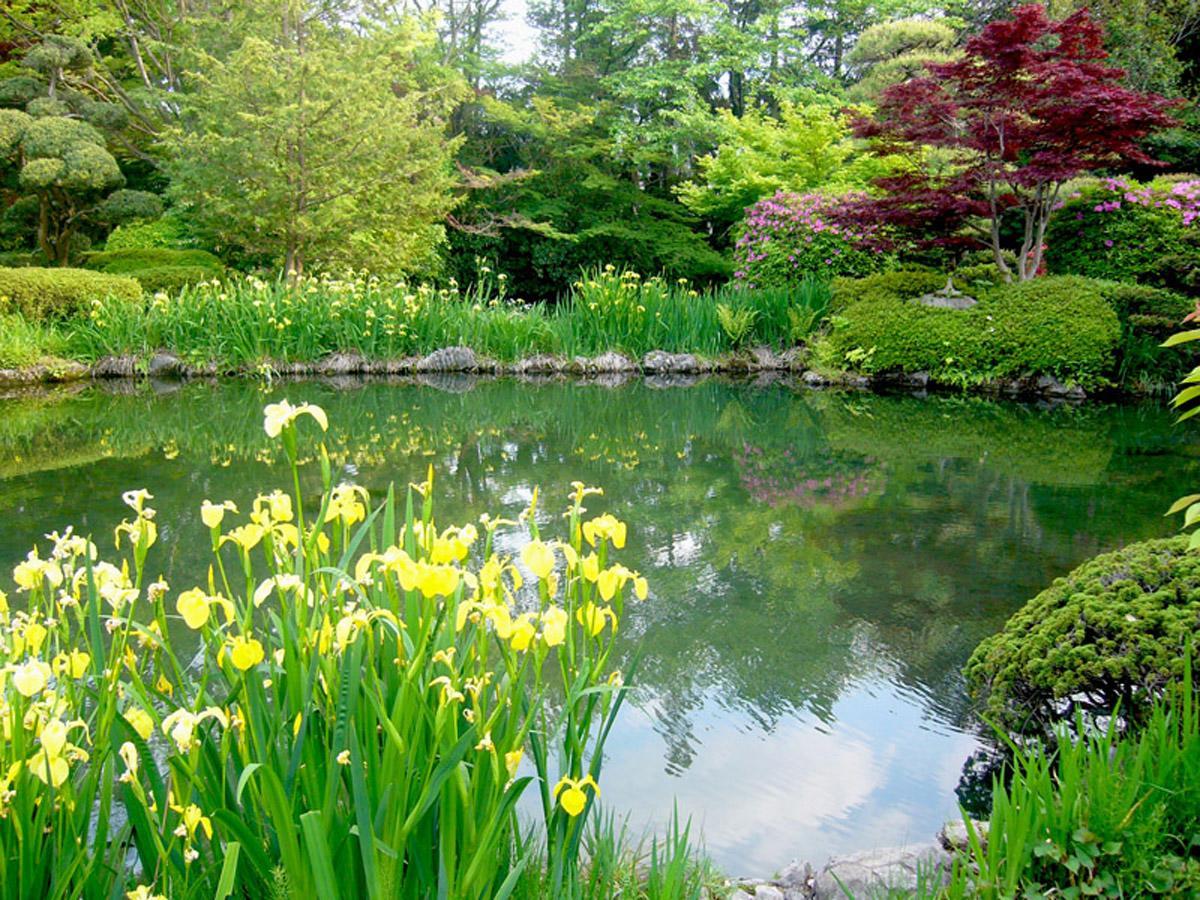 Hotel Garden Palace Kumagaya Extérieur photo